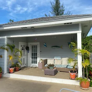 https://sea-shells.comcaribbean.com